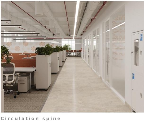 Circulation spine